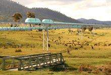 Freight mounted SkyWay